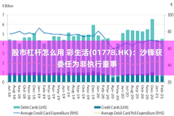 股市杠杆怎么用 彩生活(01778.HK)：沙锋获委任为非执行董事