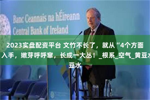 2023实盘配资平台 文竹不长了，就从“4个方面”入手，嫩芽呼呼窜，长成一大丛！_根系_空气_黄豆水