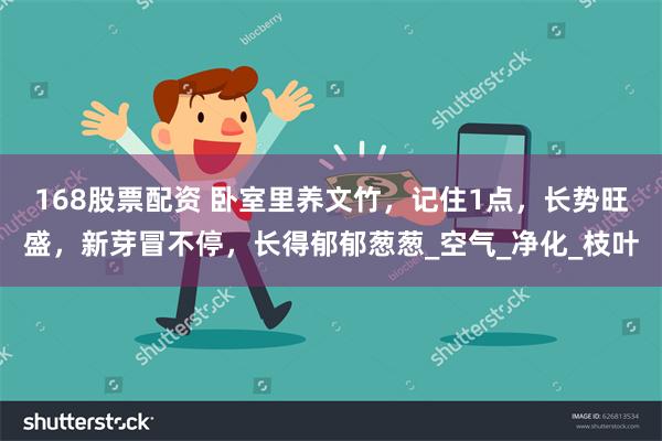 168股票配资 卧室里养文竹，记住1点，长势旺盛，新芽冒不停，长得郁郁葱葱_空气_净化_枝叶