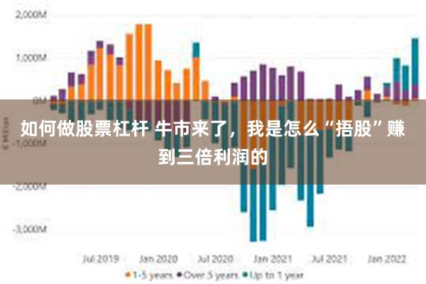 如何做股票杠杆 牛市来了，我是怎么“捂股”赚到三倍利润的