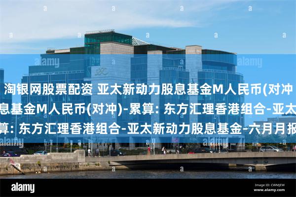 淘银网股票配资 亚太新动力股息基金M人民币(对冲)-分派,亚太新动力股息基金M人民币(对冲)-累算: 东方汇理香港组合-亚太新动力股息基金-六月月报
