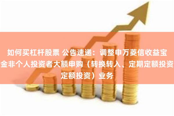如何买杠杆股票 公告速递：调整申万菱信收益宝货币基金非个人投资者大额申购（转换转入、定期定额投资）业务