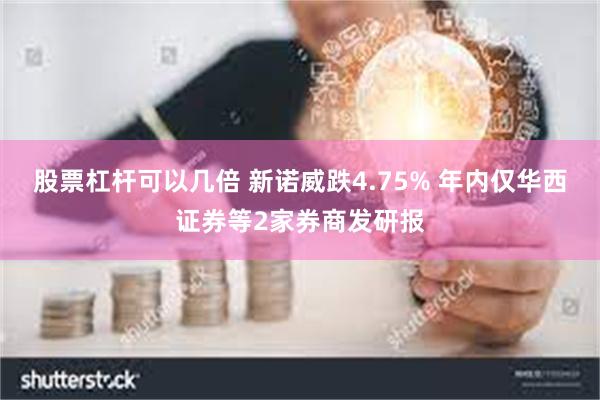 股票杠杆可以几倍 新诺威跌4.75% 年内仅华西证券等2家券商发研报