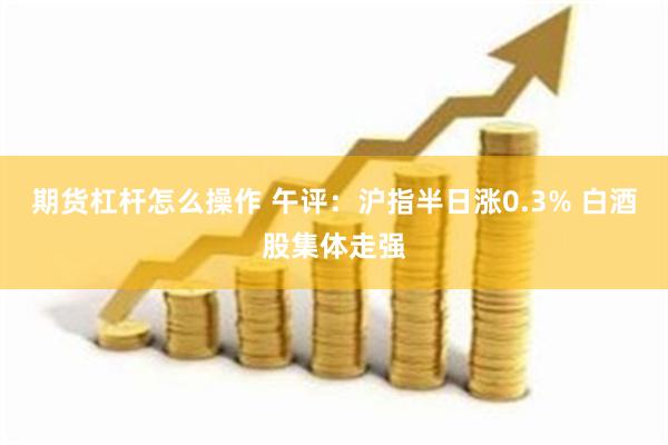 期货杠杆怎么操作 午评：沪指半日涨0.3% 白酒股集体走强