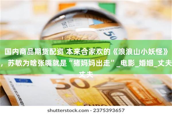 国内商品期货配资 本来合家欢的《浪浪山小妖怪》，苏敏为啥张嘴就是“猪妈妈出走”_电影_婚姻_丈夫
