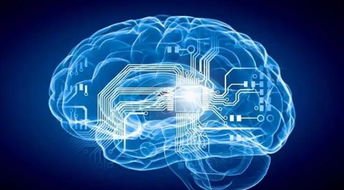 美光科技計劃向人工智能技術初創公司投資1億美元