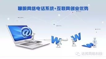 國(guó)內(nèi)與國(guó)外網(wǎng)絡(luò)電話技術(shù)服務(wù)的深度對(duì)比分析